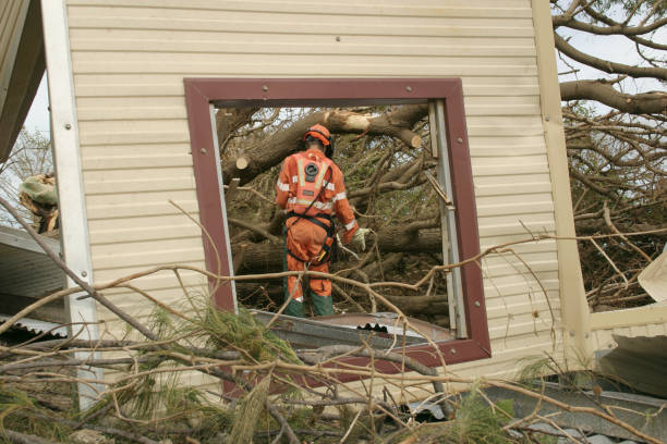  Lone Pine, CA Tree Services Pros